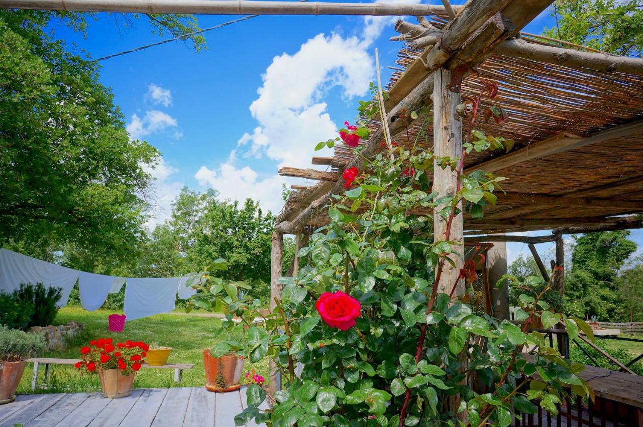 Bed & Breakfast Parco Dei Cavalli *