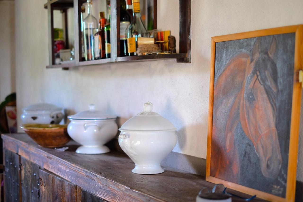 Bed & Breakfast Parco Dei Cavalli *