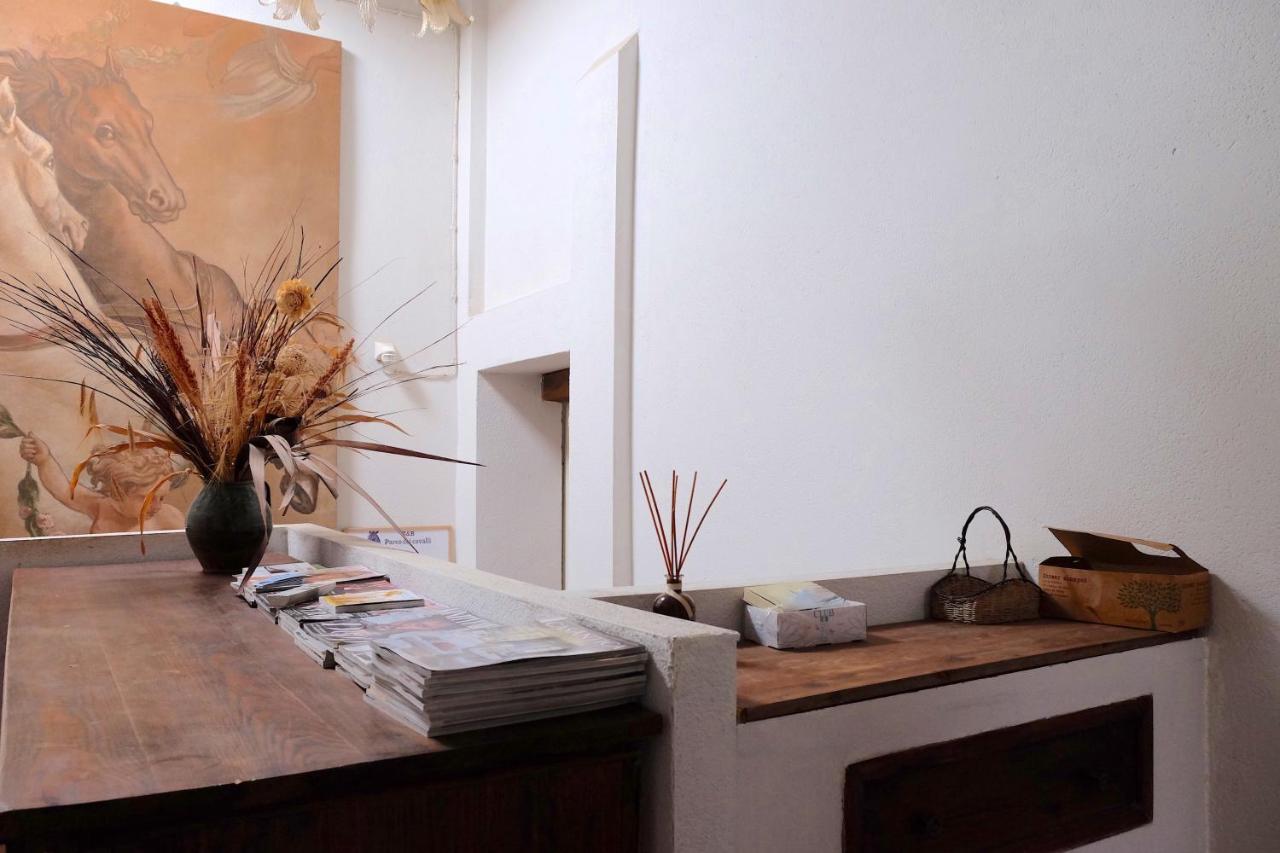 Bed & Breakfast Parco Dei Cavalli *